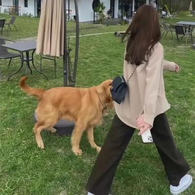 滚烫的青春